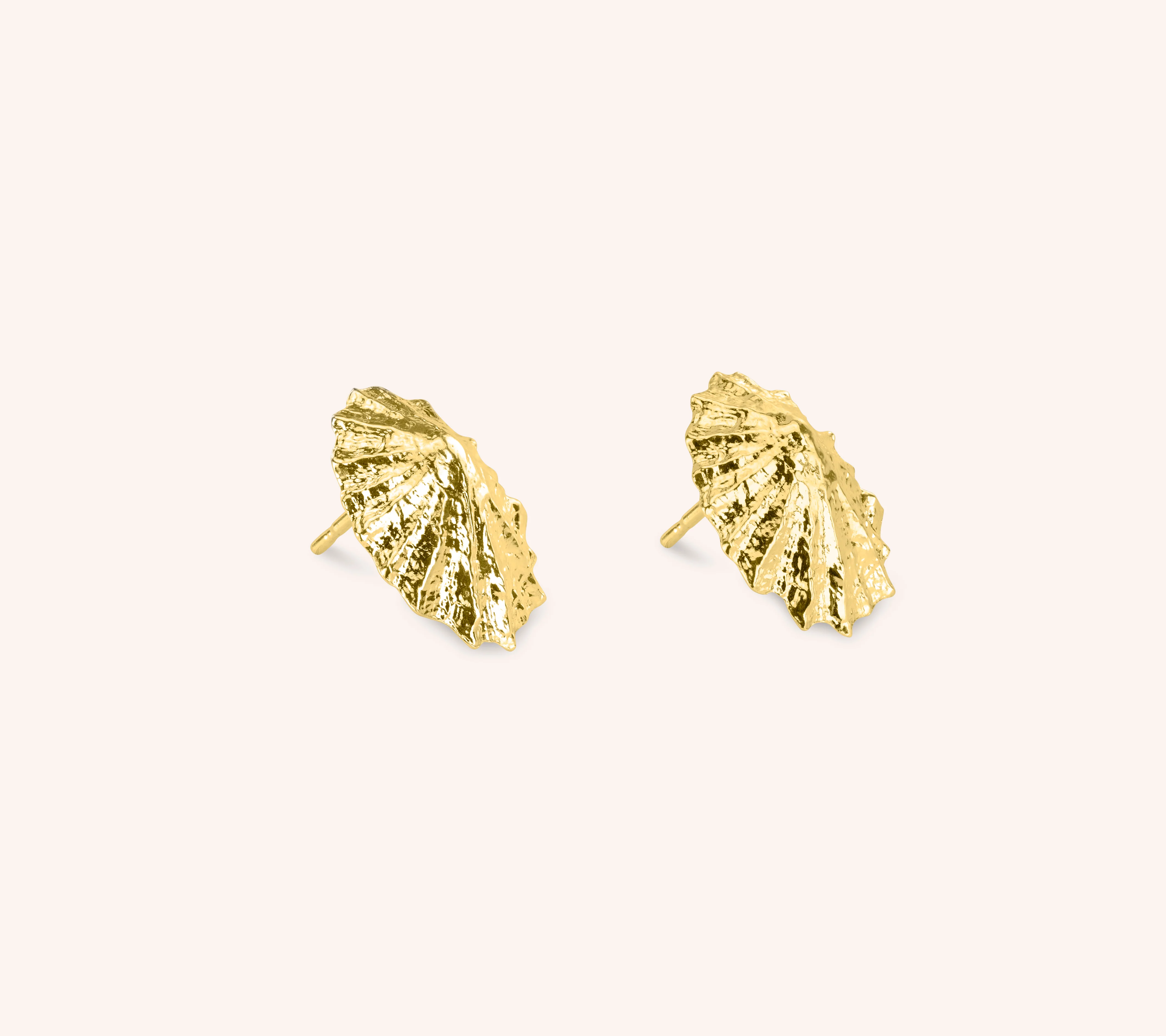 Limpet Earrings - Image 5